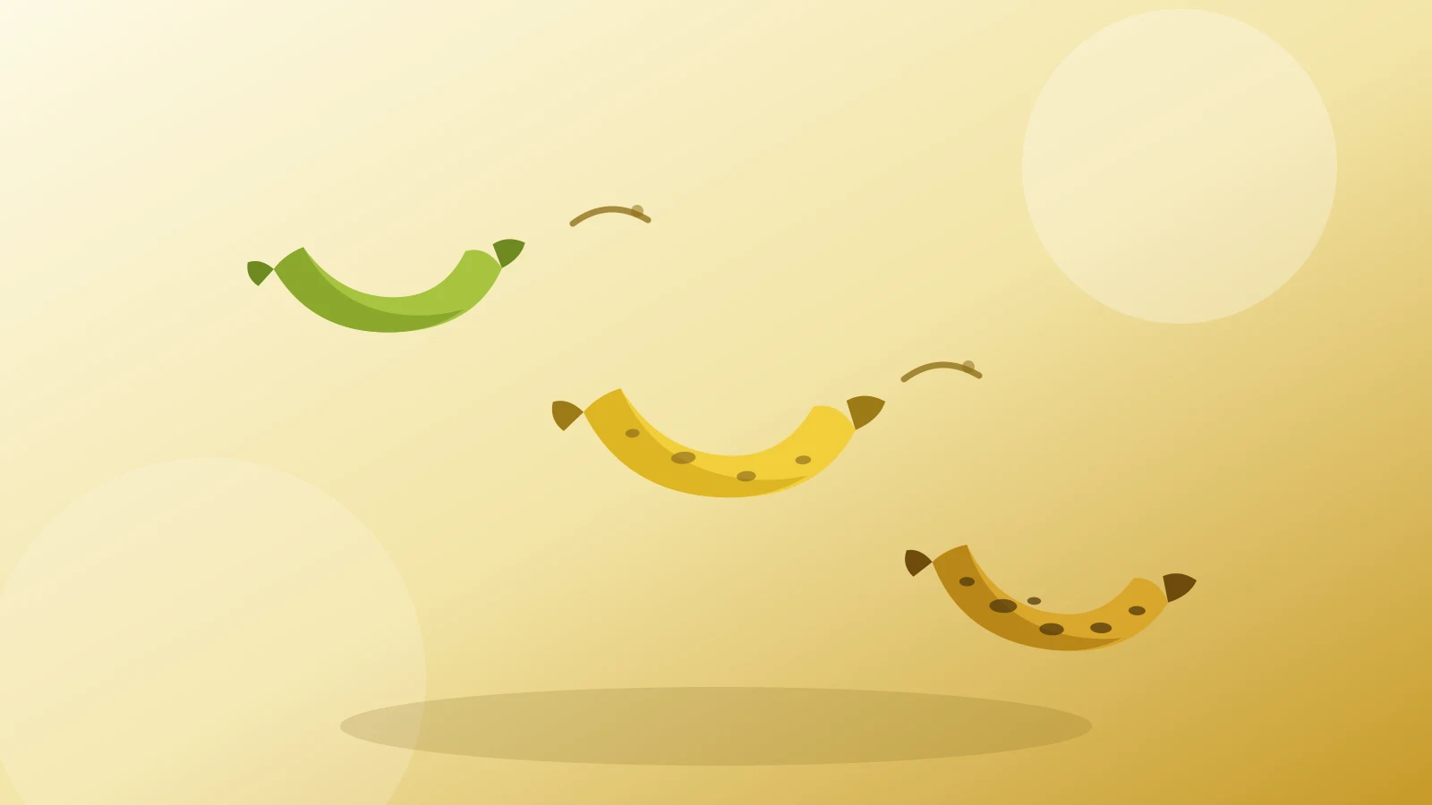 Bananas at different stages of ripeness